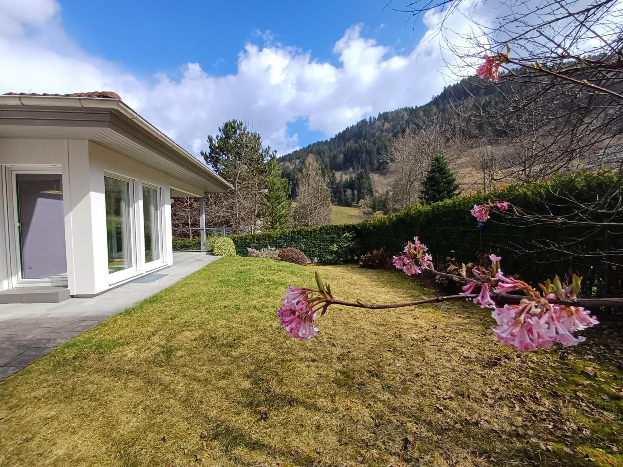Falcon Lodge Kaprun Kitzsteinhorn - Steinbock Lodges Kültér fotó